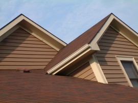 siding and roof